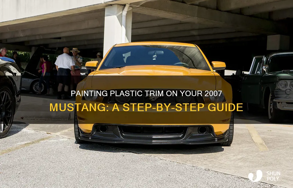 how to paint plastic trim on a 2007 mustang