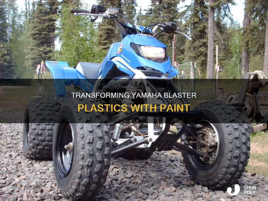 Plastics For Yamaha Blaster
