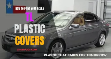 Transforming Your Acura TL With Paint: Plastic Covers