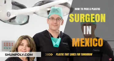 Choosing the Right Plastic Surgeon in Mexico: Essential Tips and Insights