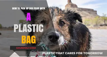 Easy Dog Poop Pickup: Plastic Bag Tips for Clean Walks