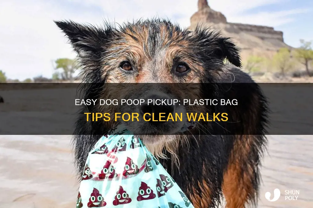how to pick up dog poop with a plastic bag