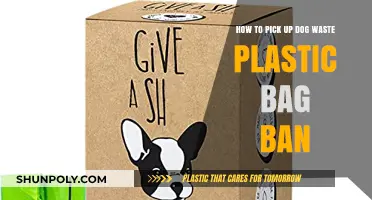Eco-Friendly Dog Waste Solutions: Alternatives to Plastic Bags
