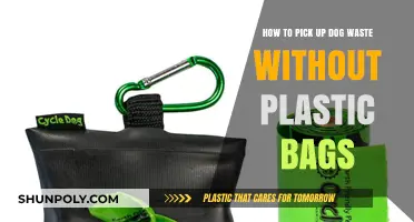 Eco-Friendly Dog Waste Pickup: Plastic-Free Solutions for Responsible Pet Owners