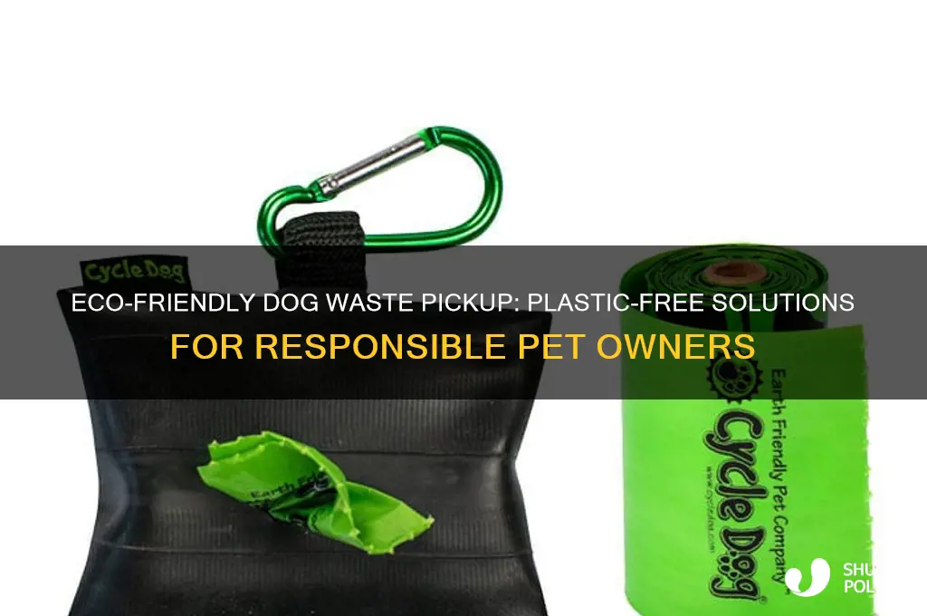 how to pick up dog waste without plastic bags
