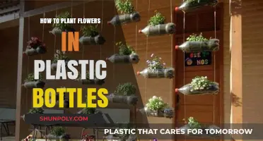 Eco-Friendly Gardening: Planting Flowers in Plastic Bottles Step-by-Step