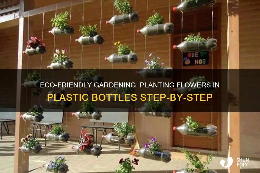 how to plant flowers in plastic bottles