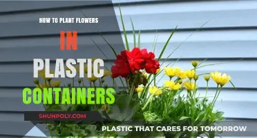 Planting Flowers in Plastic Containers: A Step-by-Step Guide