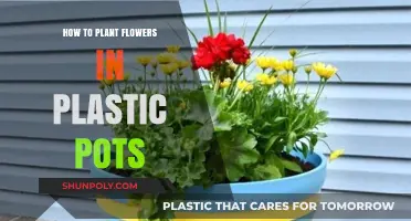 Planting Flowers in Plastic Pots: A Step-by-Step Guide