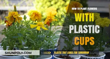 Planting Flowers with Plastic Cups: A Beginner's Guide