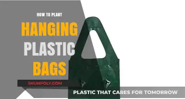 Creative Gardening: Planting in Hanging Plastic Bags for Small Spaces