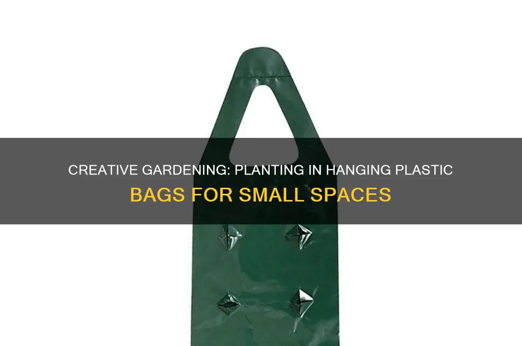 how to plant hanging plastic bags