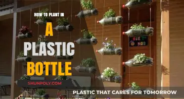 Eco-Friendly Gardening: Planting in Plastic Bottles Step-by-Step Guide