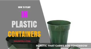 Planting in Plastic Containers: A Guide