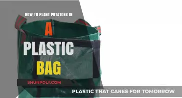 Easy Plastic Bag Potato Planting: A Step-by-Step Guide for Beginners