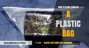 Easy Seed Starting: Planting Seeds in Plastic Bags for Beginners