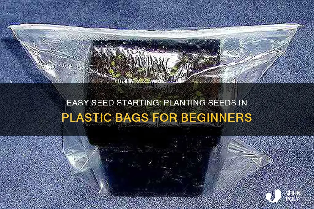 how to plant seeds in a plastic bag