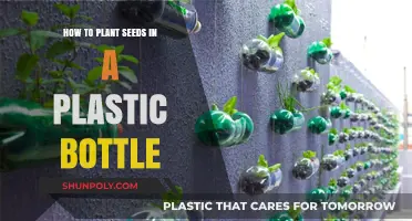 Eco-Friendly Gardening: Planting Seeds in Plastic Bottles Made Easy