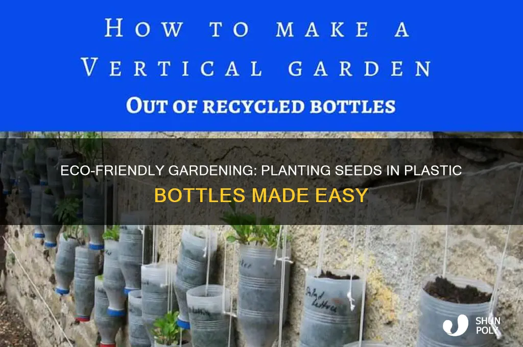how to plant seeds in a plastic bottle