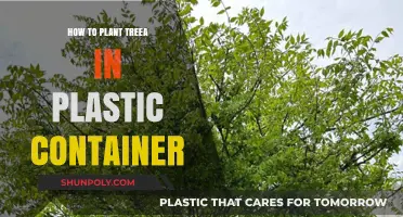Planting Trees in Plastic Containers: A Step-by-Step Guide