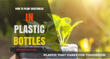 Eco-Friendly Gardening: Planting Vegetables in Plastic Bottles Easily
