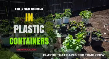 Planting Veggies in Plastic Containers: A Step-by-Step Guide