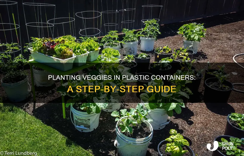 how to plant vegetables in plastic containers