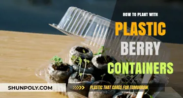 Reusing Plastic Berry Containers for Gardening