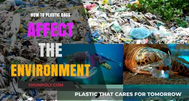 Plastic Bags' Environmental Impact: Harmful Effects and Sustainable Alternatives