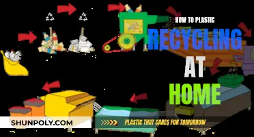 Master the Art of Plastic Recycling: A Beginner's Guide to Home Recycling