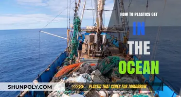 Understanding the Journey: How Plastics End Up in Our Oceans