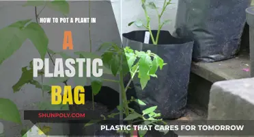 Easy Plastic Bag Planting: A Step-by-Step Guide for Beginners