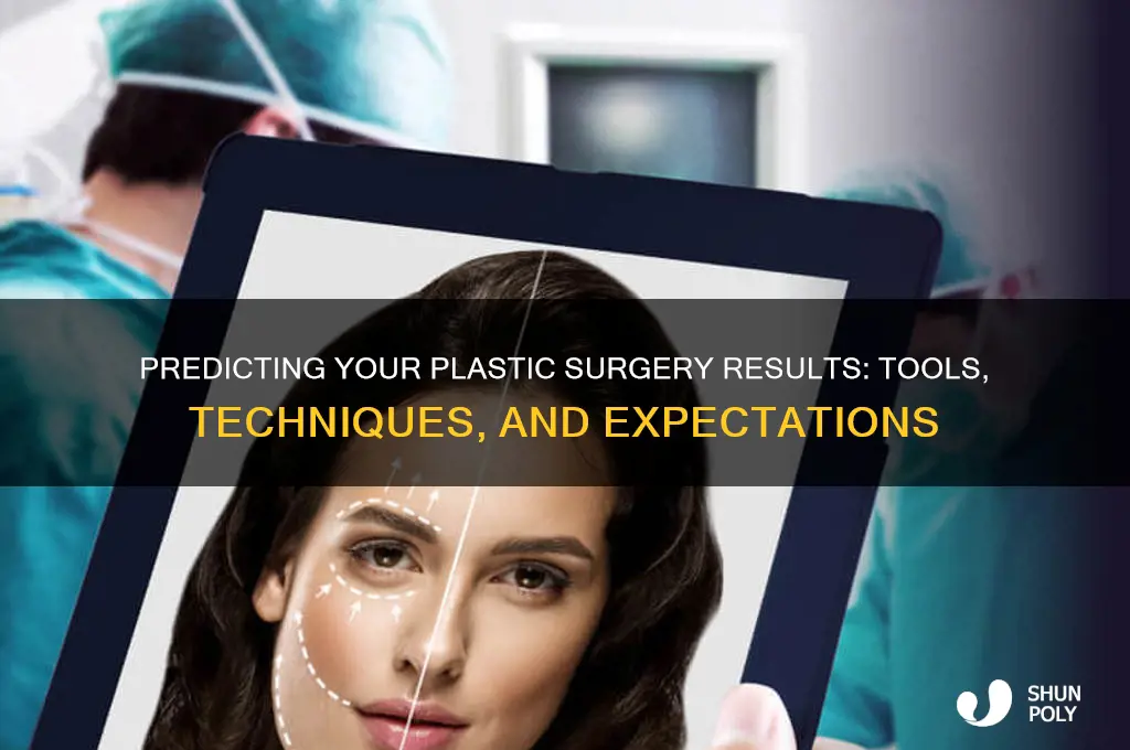 how to predict what my plastic surgery will look like