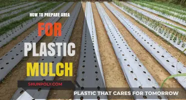 Preparing the Perfect Plastic Mulch Garden