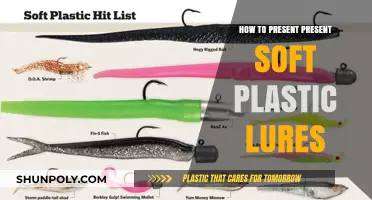 Soft Plastic Lures: Effective Presentation Techniques