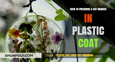 Preserving Cut Branches: A Simple Plastic Coating Technique Guide