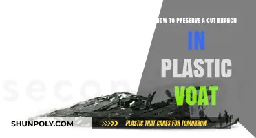 Preserving Cut Branches in Plastic Voats: A Step-by-Step Guide
