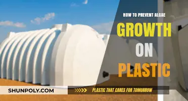 Preventing Algae Growth: Treating Plastic Surfaces
