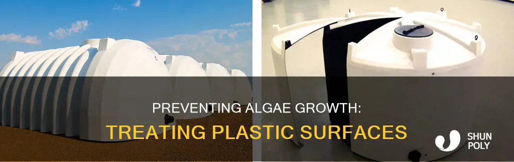 how to prevent algae growth on plastic