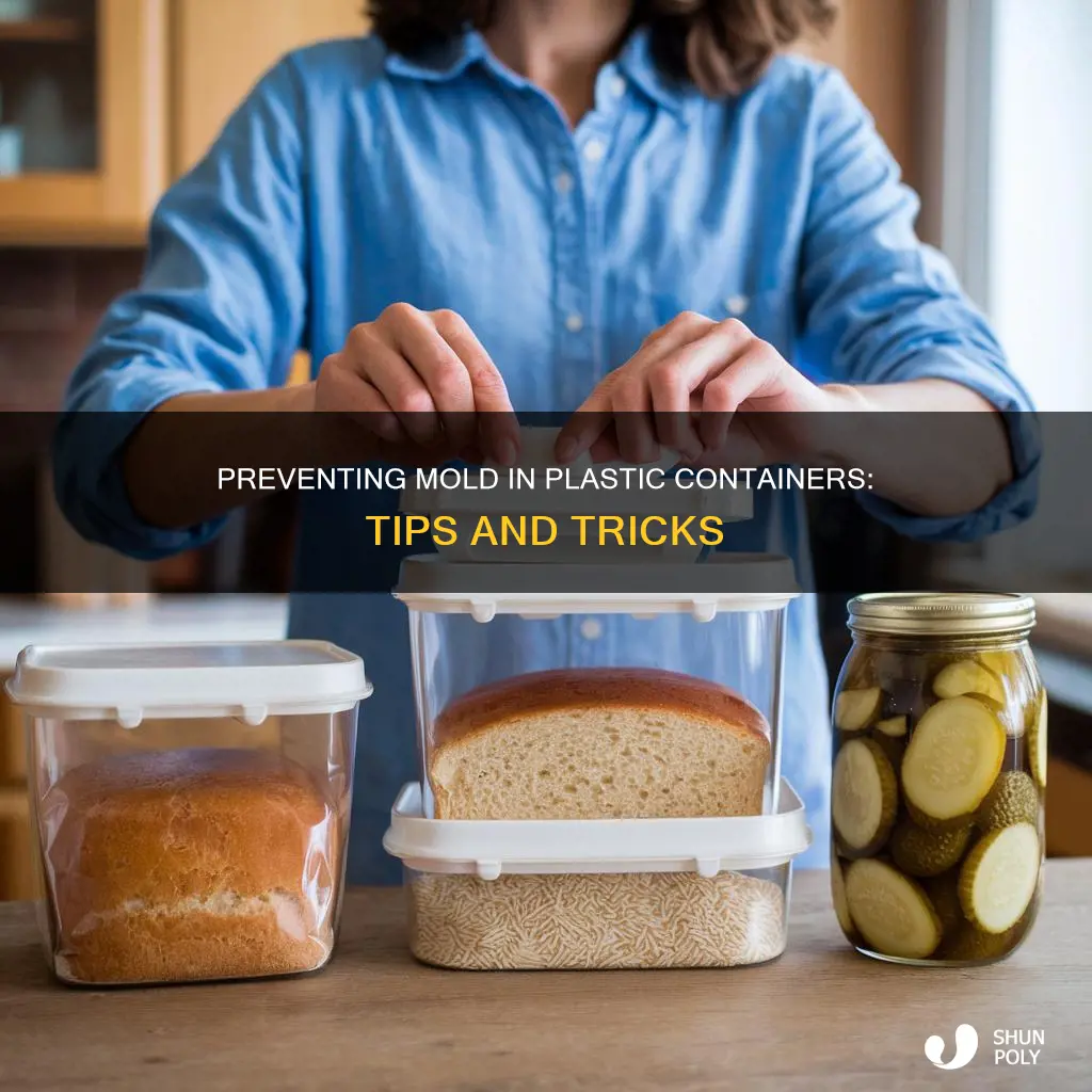 how to prevent mold in plastic storage containers
