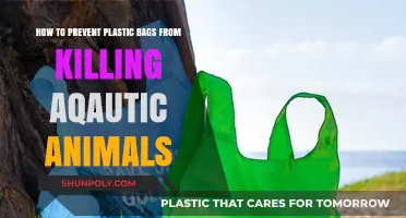 Protect Aquatic Life: Simple Steps to Prevent Plastic Bag Harm