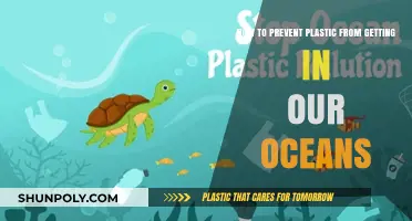 Stop Ocean Plastic: Simple Steps to Protect Our Seas