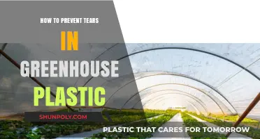Protect Your Greenhouse Plastic: Preventing Tears and Rips