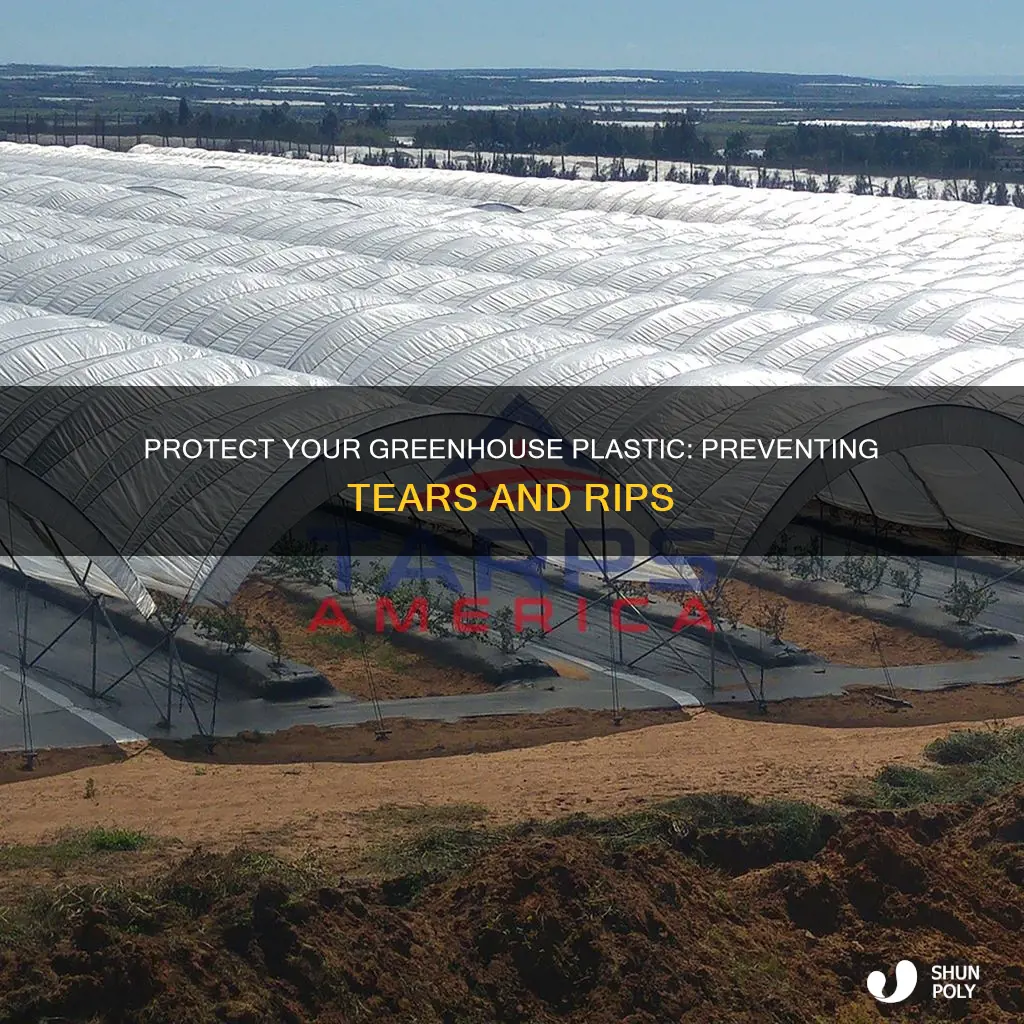 how to prevent tears in greenhouse plastic