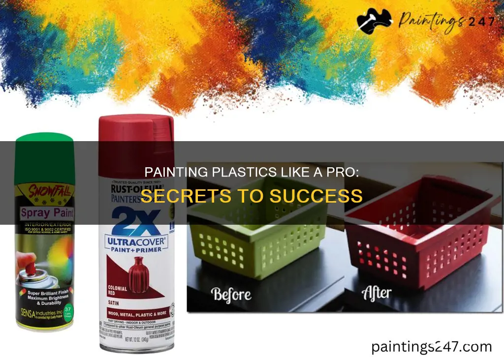 how to profesisonal paint plastics