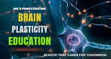 Brain Plasticity Education: Promoting Structural Changes