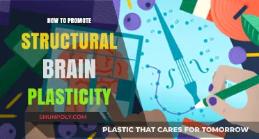 Unlocking Brain Plasticity: Strategies for Structural Changes