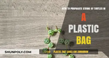 Propagate String of Turtles in a Plastic Bag: Easy Steps