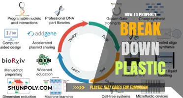 Breaking Down Plastics: A Step-by-Step Guide to Recycling