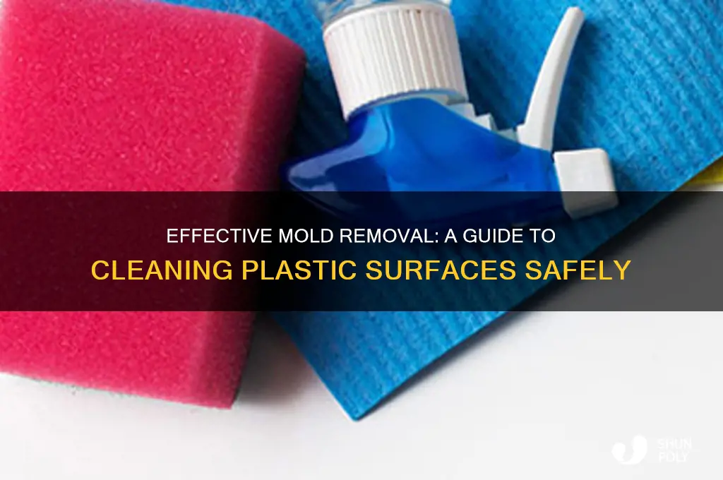 how to properly clean mold on plastic